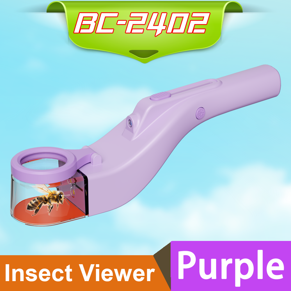 BC-2402-Purple