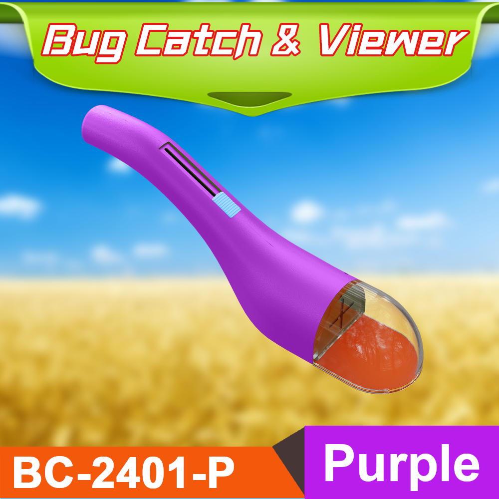 BC-2401-Purple
