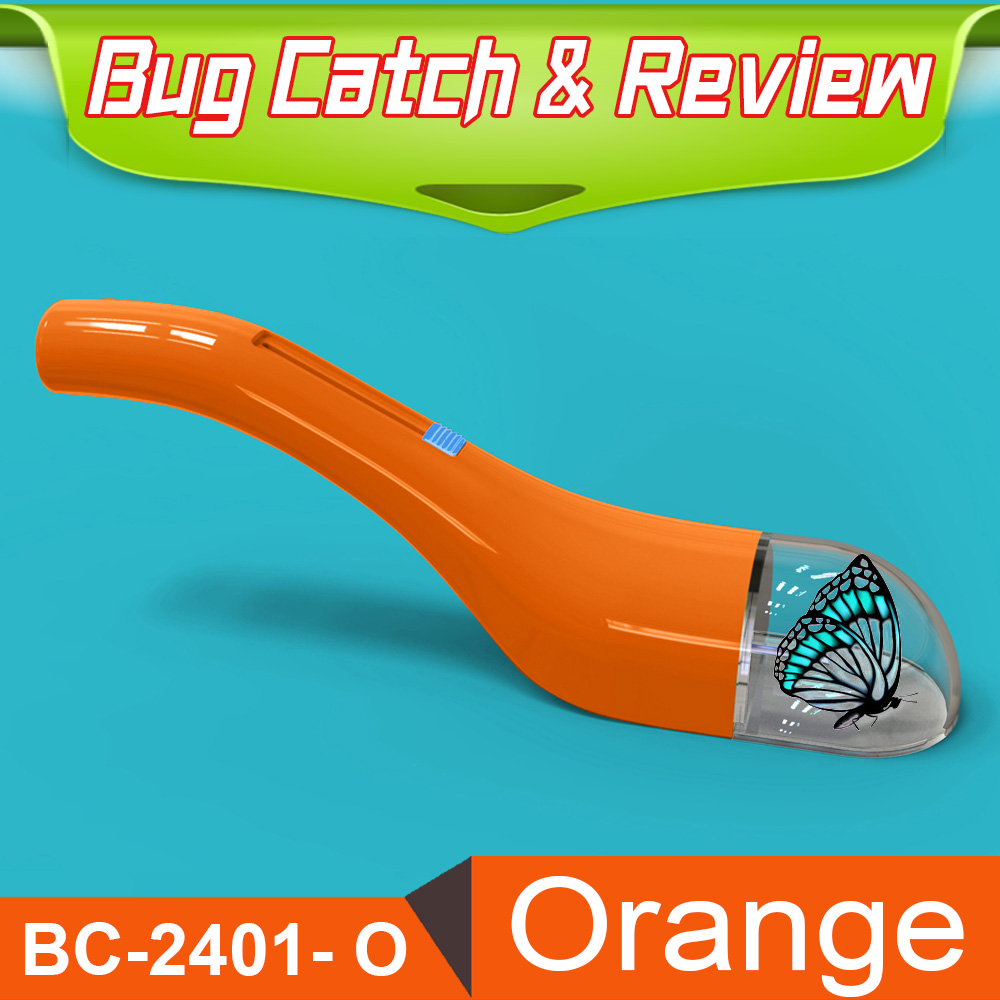 BC-2401-Orange