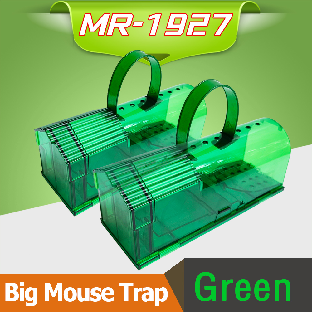 MR-1927-Green