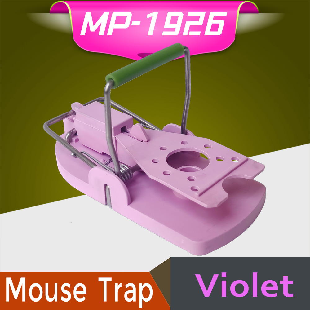 MP-1926-Violet