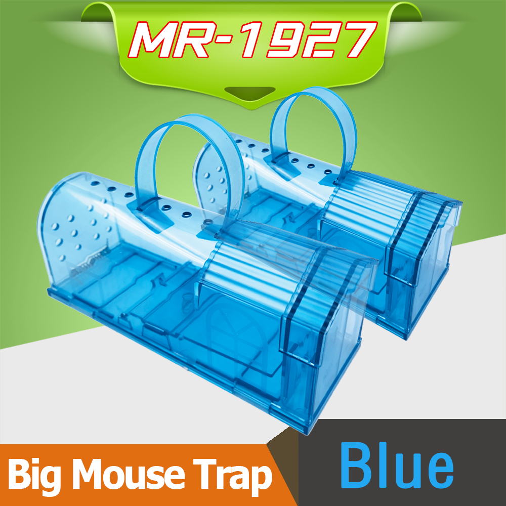 MR-1927-Blue