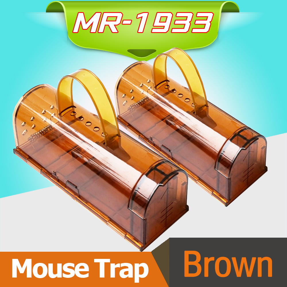 MR-1933-Brown