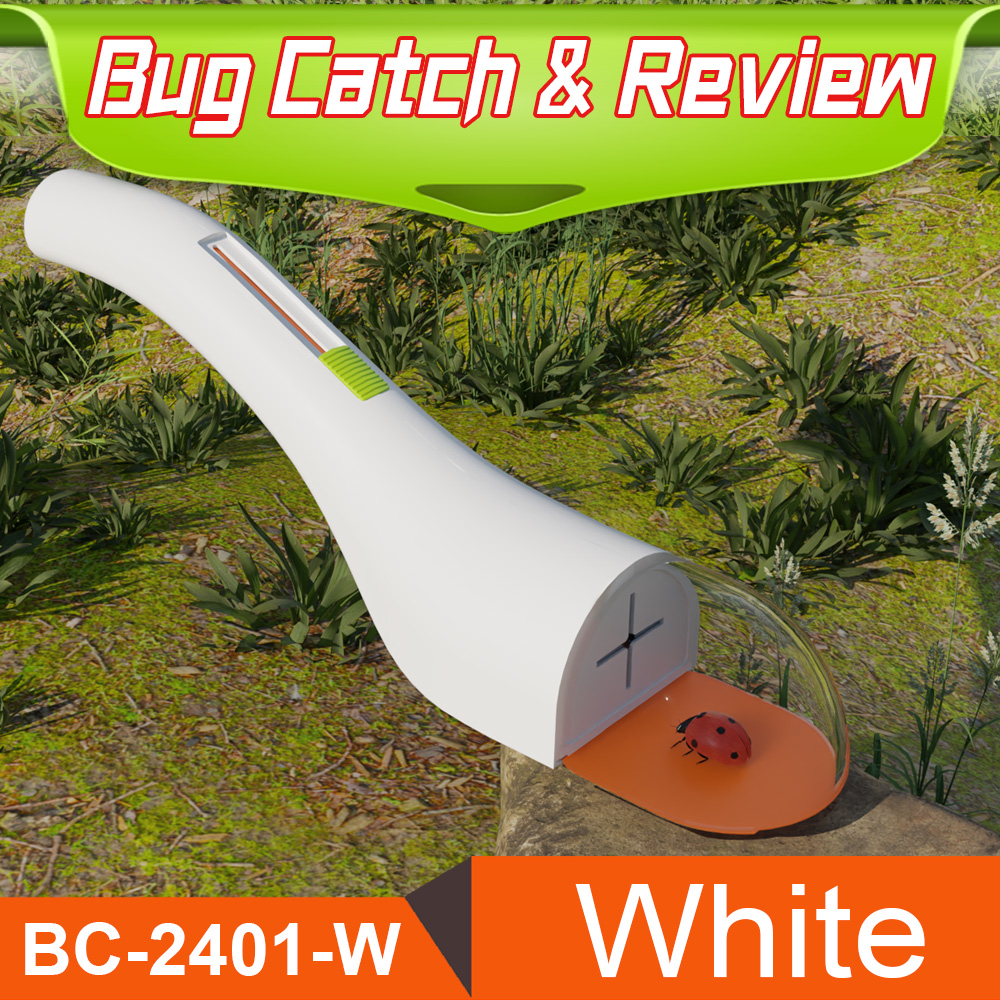 BC-2401-White