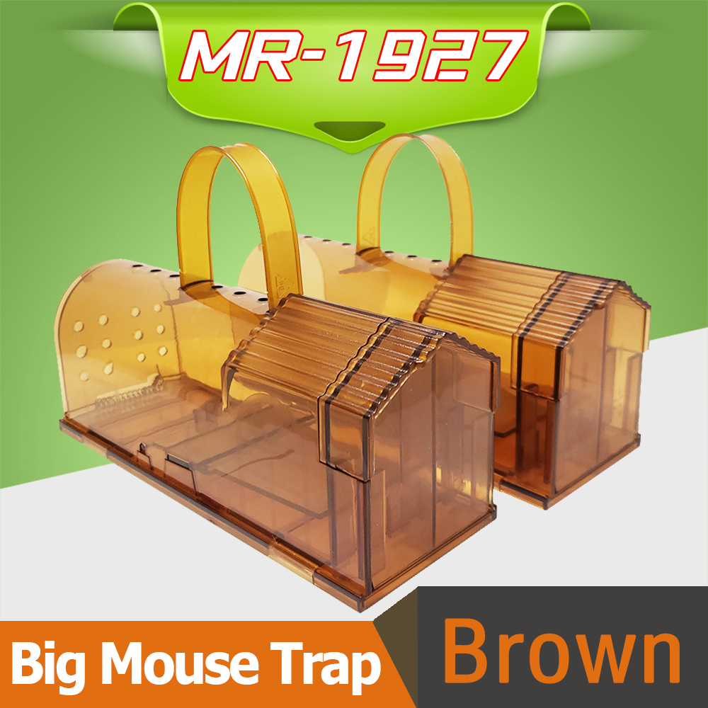 MR-1927-Brown