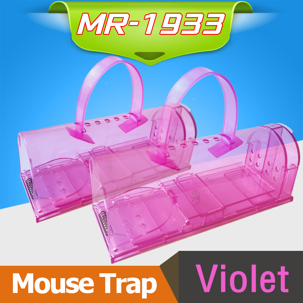 MR-1933-Violet