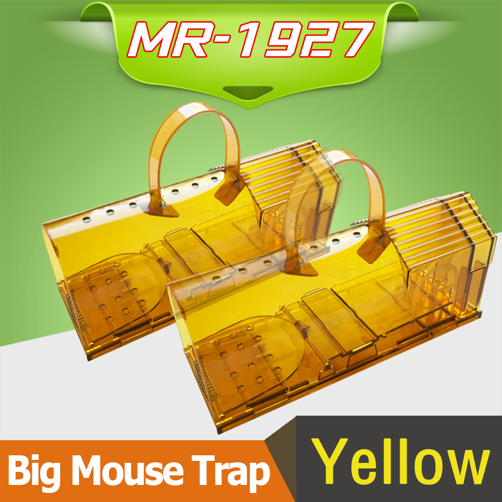 MR-1927-Yellow